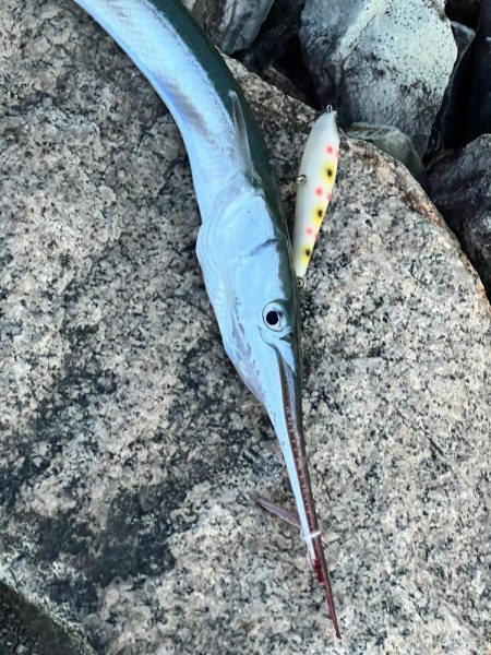 釣れそうな気がしたので