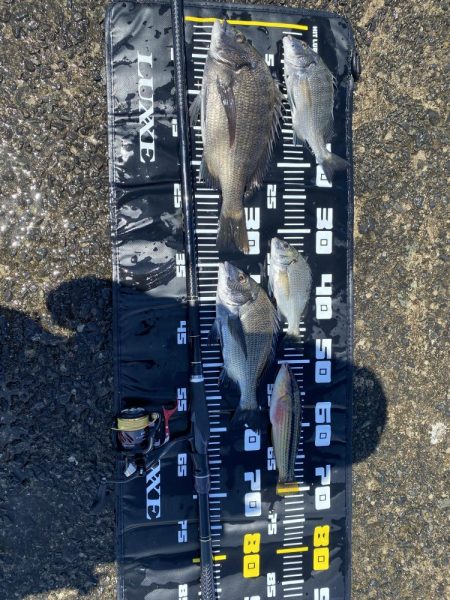 日出渡船での7月のリベンジ