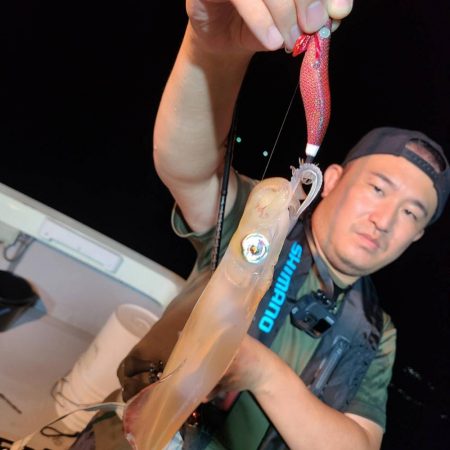 満月のイカメタル