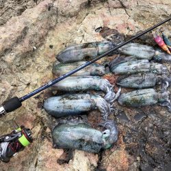 2023 佐渡ヶ島エギング 3回目【8月27日】