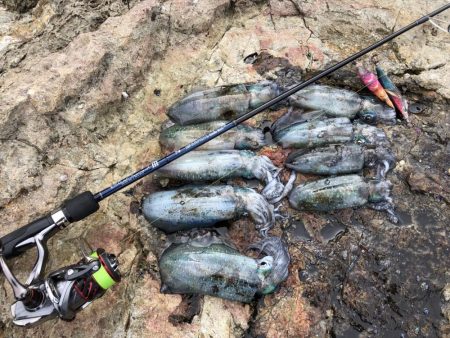 2023 佐渡ヶ島エギング 3回目【8月2…