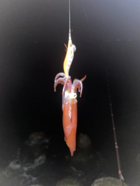 ケンサキゲーム