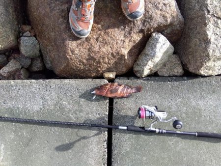 真夏の連続釣果にびっくりしてます。