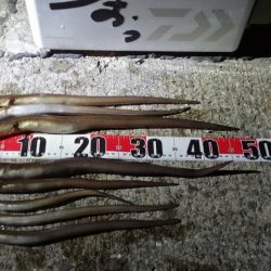 灼熱でのぶっこみ釣り