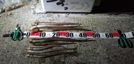 灼熱でのぶっこみ釣り