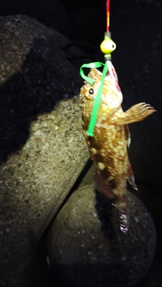 色々気が散って