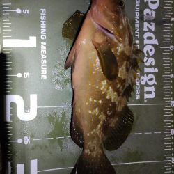 台風から逃げて山口遠征