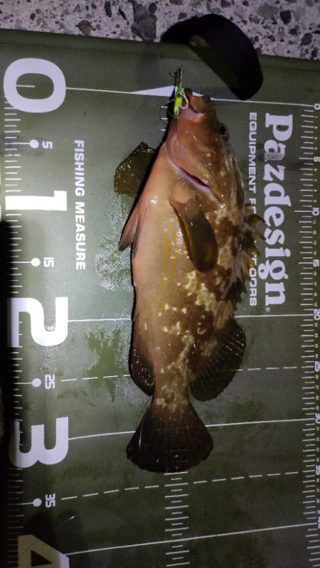 台風から逃げて山口遠征