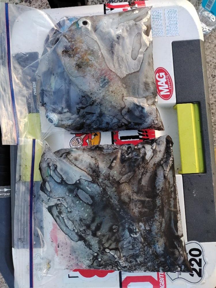 エギング＠鹿児島