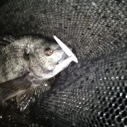 終了間際のヒット