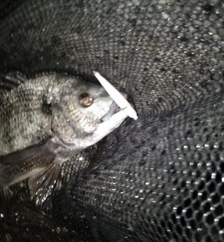 終了間際のヒット