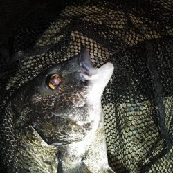 リフト＆フォールでヒット