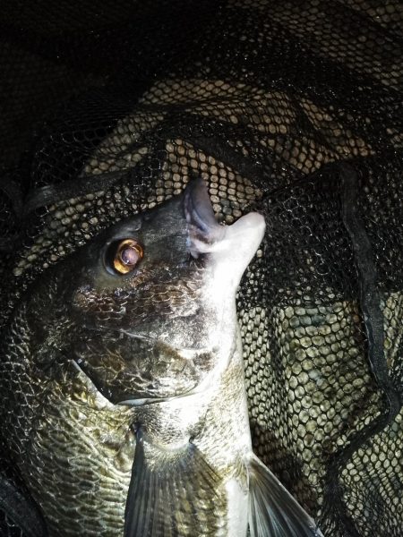 リフト＆フォールでヒット