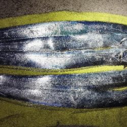 1年で1番釣りやすい時期