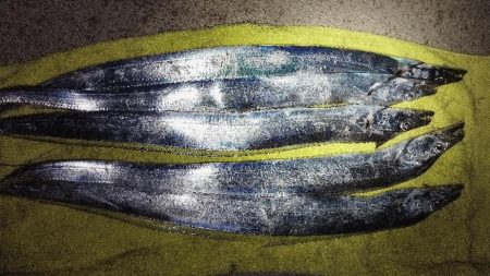 1年で1番釣りやすい時期