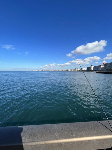 アジフィーバー②