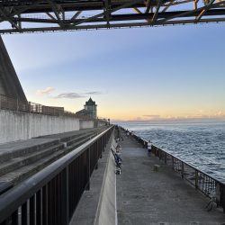 アジフィーバー③