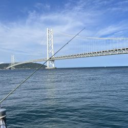 アジフィーバー④