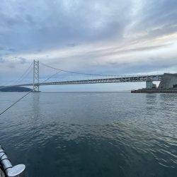 アジフィーバー⓹