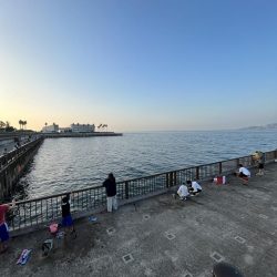 アジしか勝たん