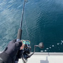 真夏のジギングチャレンジ