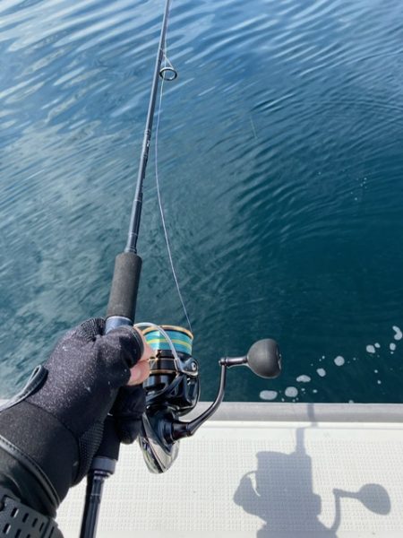 真夏のジギングチャレンジ