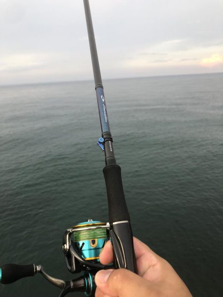 黒鯛トップ絶好調