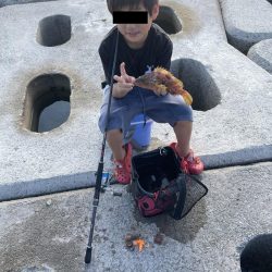 2023 佐渡ヶ島 キジハタゲーム　8月6日