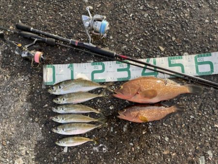 2023 佐渡ヶ島 ライトゲーム&…