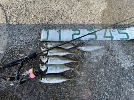 2023 佐渡ヶ島 ライトゲーム＆ハタゲーム　8月20日