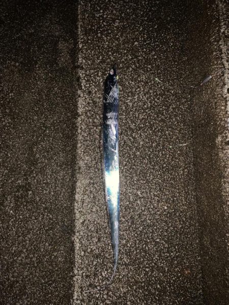 太刀魚の聖地　和歌山