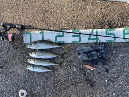 2023 佐渡ヶ島 ライトゲーム＆ハタゲー…