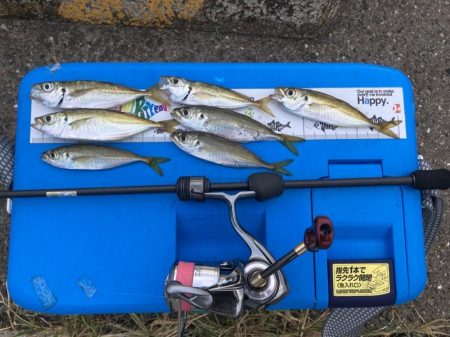 台風前にアジング