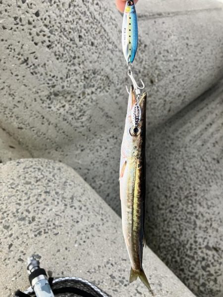 太刀魚釣りたい