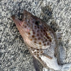 いろいろ楽しい