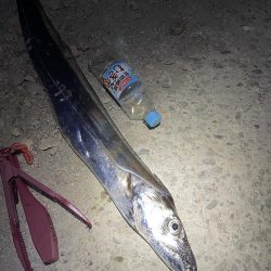 ★★メーター超えの奴が来た★★