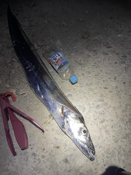 ★★メーター超えの奴が来た★★