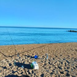 海岸で夏祭り💧
