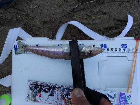 三重で初キス釣行