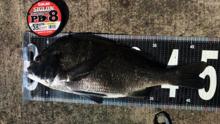 ぶら台風後調査！！