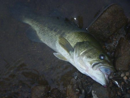 減水続き　その２