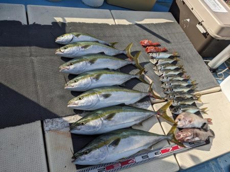 紙一重（サウス）