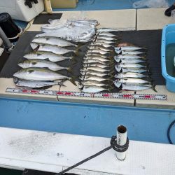 お土産いっぱい（サウス）