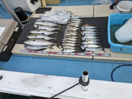 お土産いっぱい（サウス）