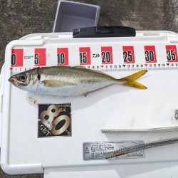 久々に水軒一文字