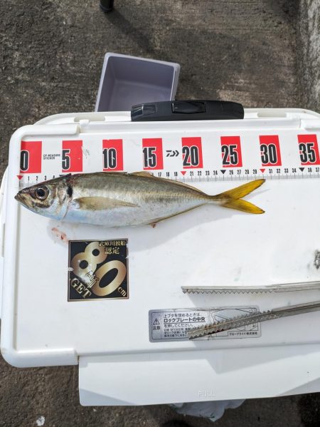 久々に水軒一文字