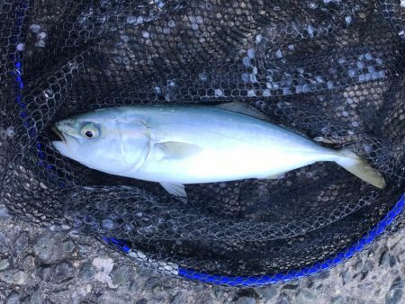 猛暑ヤバない⁉️…