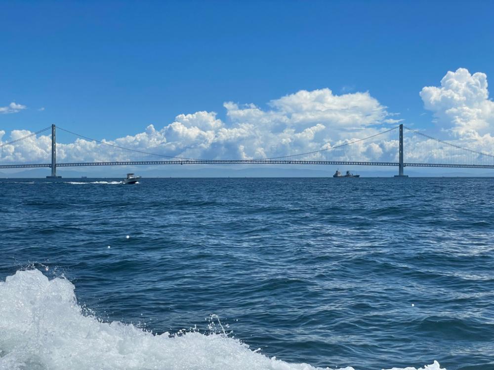 今年最後の船タコ