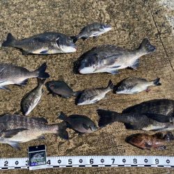 釣り開始から釣れ始め