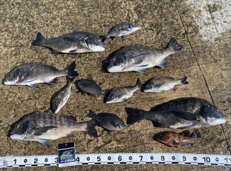 釣り開始から釣れ始め